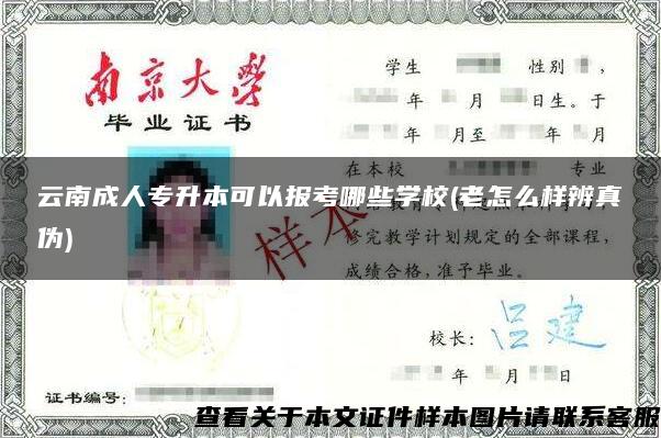 云南成人专升本可以报考哪些学校(老怎么样辨真伪)