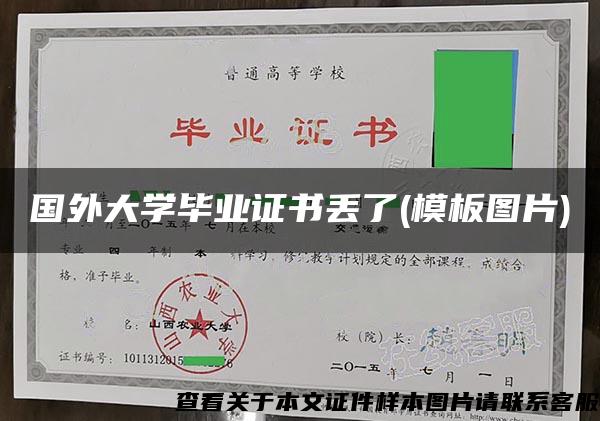 国外大学毕业证书丢了(模板图片)