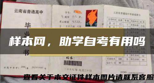 样本网，助学自考有用吗