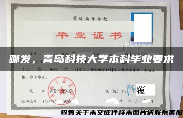 哪发，青岛科技大学本科毕业要求