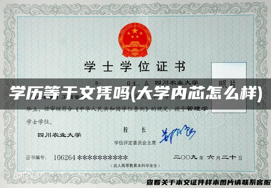 学历等于文凭吗(大学内芯怎么样)