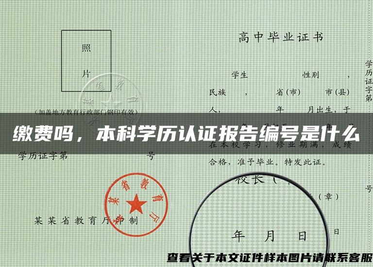 缴费吗，本科学历认证报告编号是什么