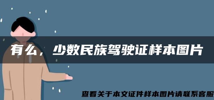 有么，少数民族驾驶证样本图片