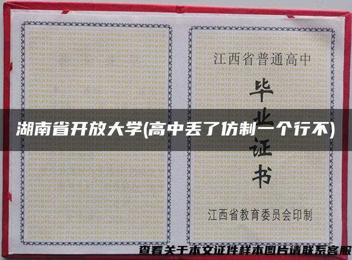 湖南省开放大学(高中丢了仿制一个行不)