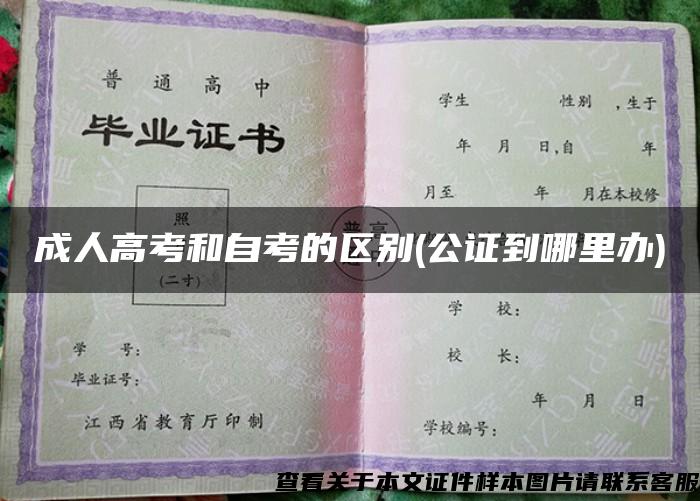 成人高考和自考的区别(公证到哪里办)