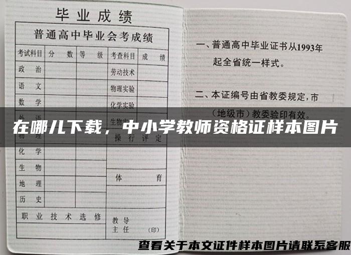 在哪儿下载，中小学教师资格证样本图片