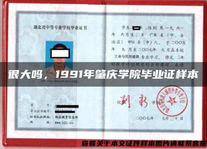 很大吗，1991年肇庆学院毕业证样本