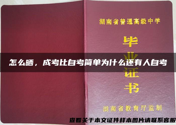 怎么晒，成考比自考简单为什么还有人自考