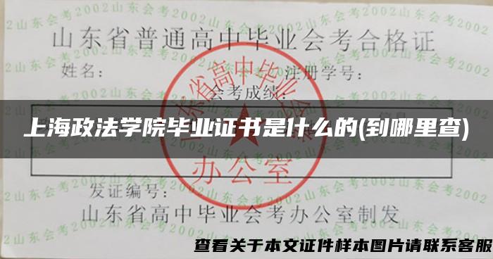 上海政法学院毕业证书是什么的(到哪里查)