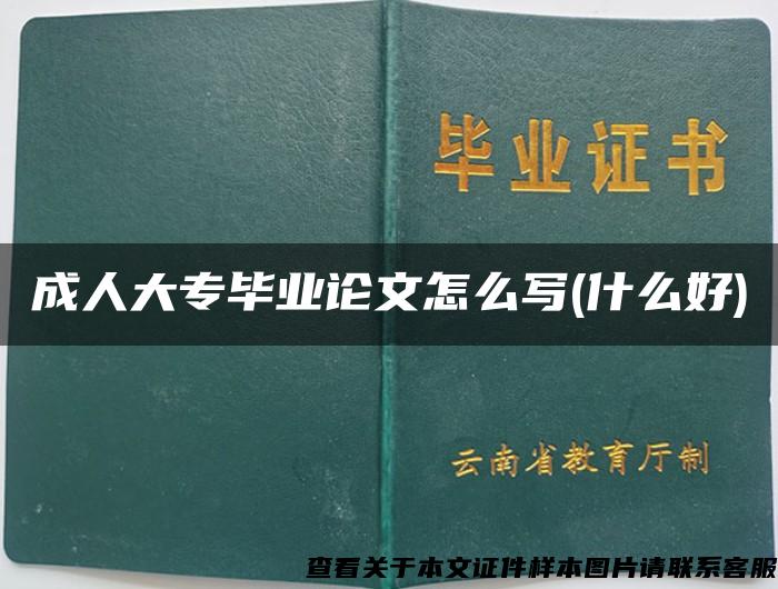 成人大专毕业论文怎么写(什么好)