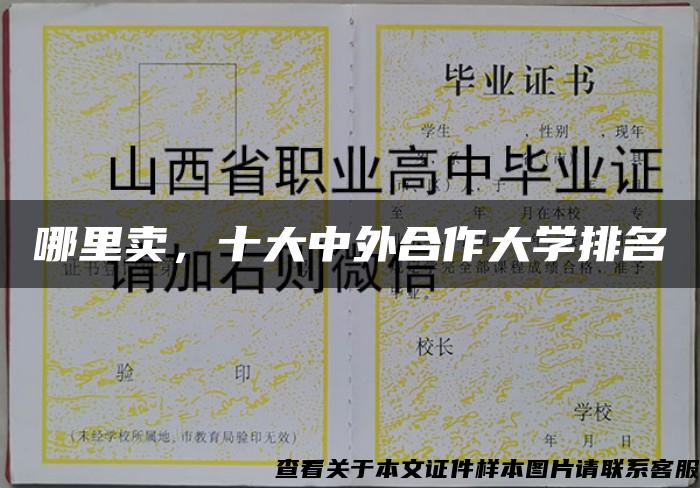 哪里卖，十大中外合作大学排名