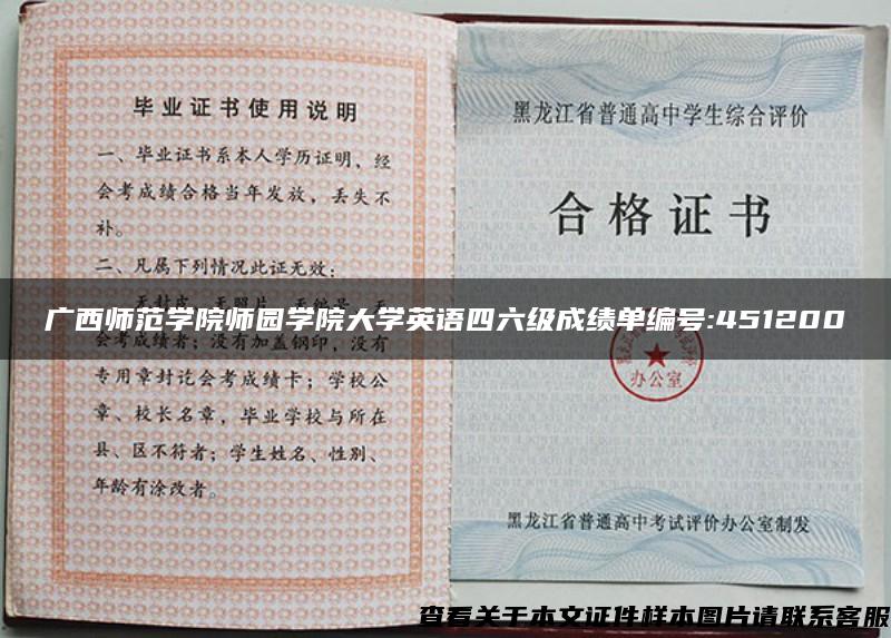 广西师范学院师园学院大学英语四六级成绩单编号:451200