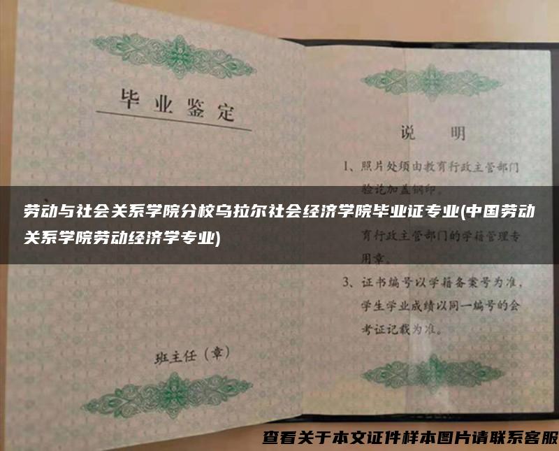 劳动与社会关系学院分校乌拉尔社会经济学院毕业证专业(中国劳动关系学院劳动经济学专业)