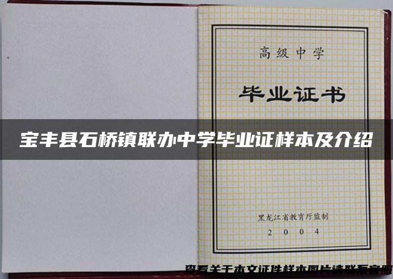 宝丰县石桥镇联办中学毕业证样本及介绍