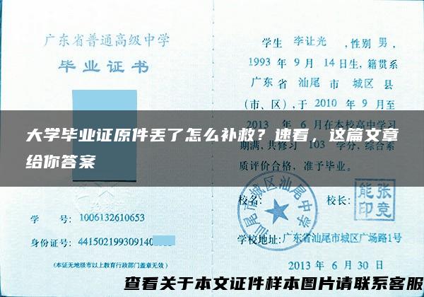 大学毕业证原件丢了怎么补救？速看，这篇文章给你答案