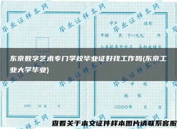 东京数字艺术专门学校毕业证好找工作吗(东京工业大学毕业)