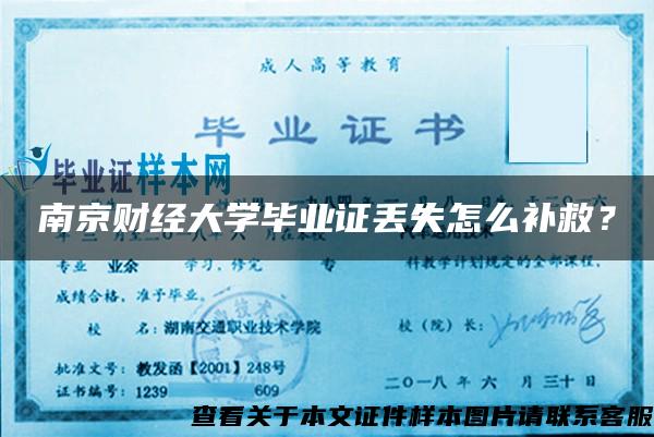 南京财经大学毕业证丢失怎么补救？