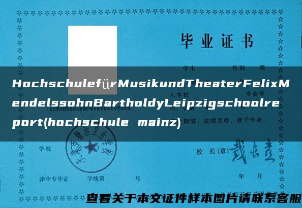 HochschulefürMusikundTheaterFelixMendelssohnBartholdyLeipzigschoolreport(hochschule mainz)