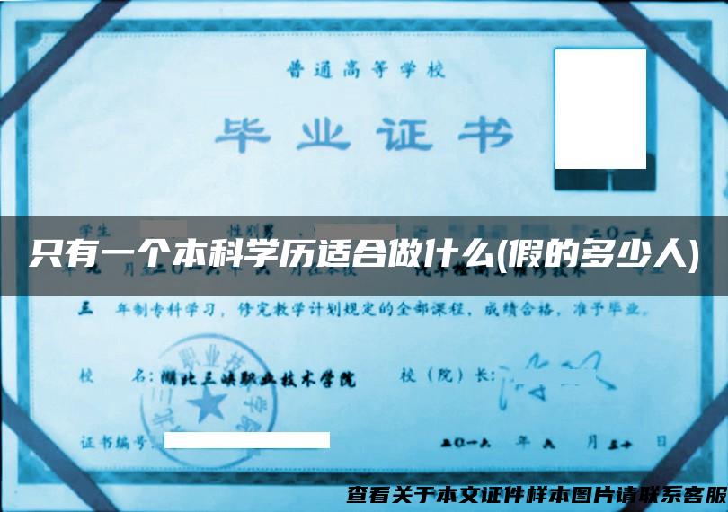 只有一个本科学历适合做什么(假的多少人)