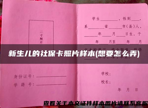 新生儿的社保卡照片样本(想要怎么弄)