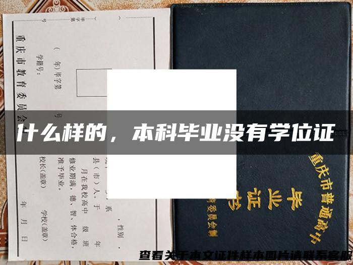 什么样的，本科毕业没有学位证