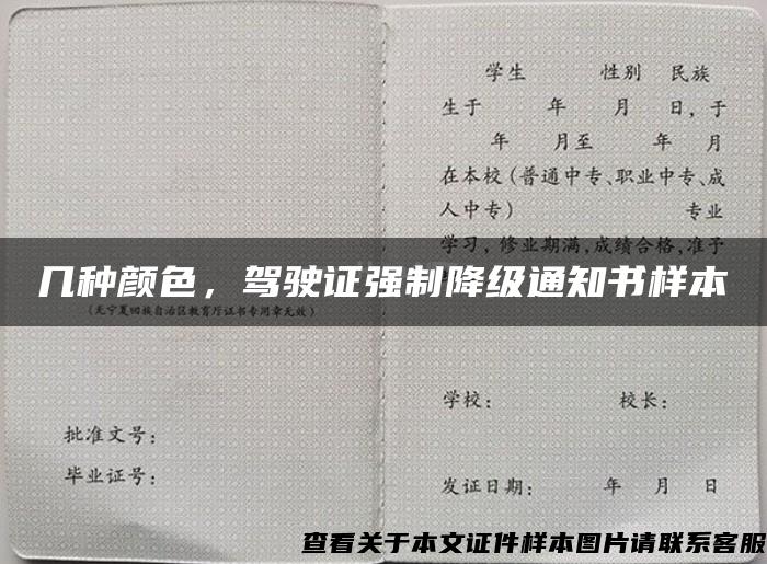 几种颜色，驾驶证强制降级通知书样本