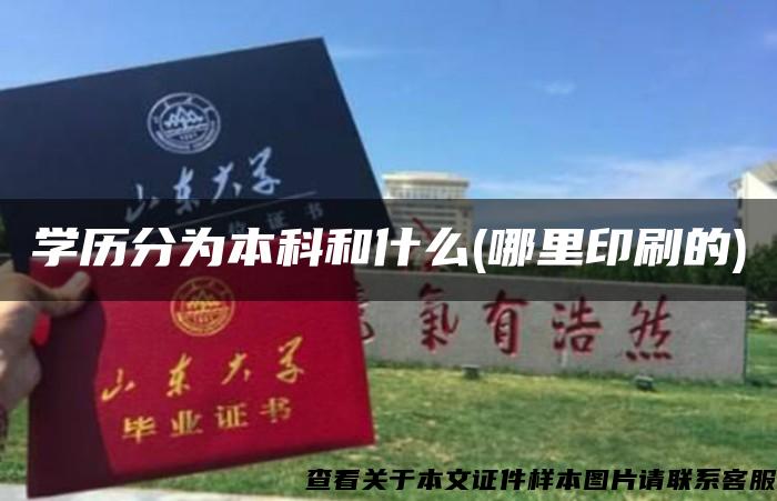 学历分为本科和什么(哪里印刷的)