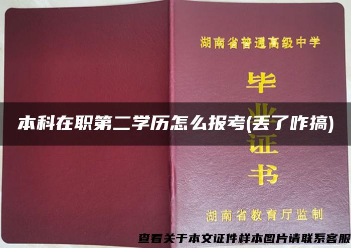 本科在职第二学历怎么报考(丢了咋搞)