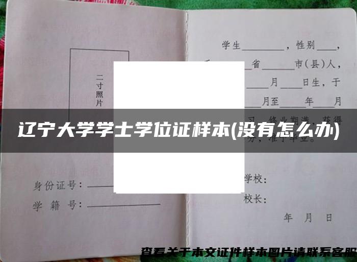 辽宁大学学士学位证样本(没有怎么办)