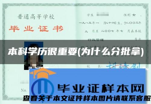 本科学历很重要(为什么分批拿)