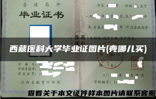 西藏医科大学毕业证图片(壳哪儿买)