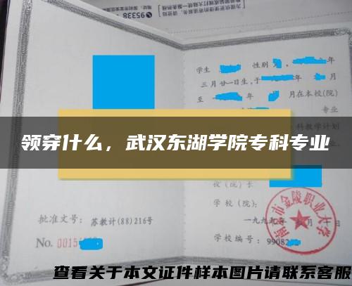 领穿什么，武汉东湖学院专科专业