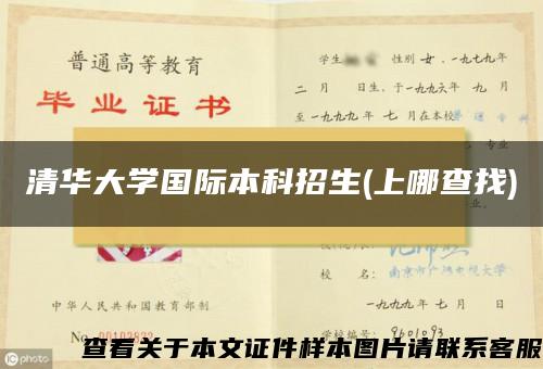 清华大学国际本科招生(上哪查找)