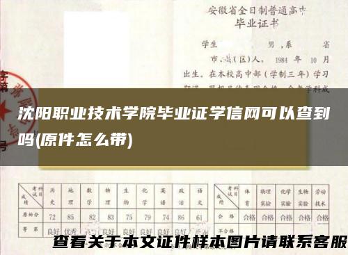 沈阳职业技术学院毕业证学信网可以查到吗(原件怎么带)