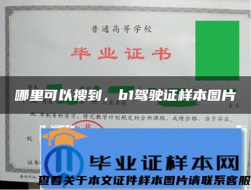 哪里可以搜到，b1驾驶证样本图片