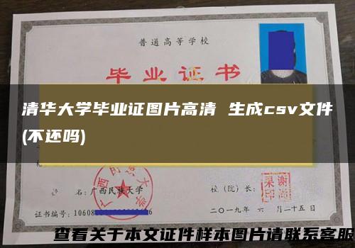 清华大学毕业证图片高清 生成csv文件(不还吗)