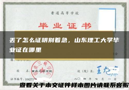 丢了怎么证明别着急，山东理工大学毕业证在哪里