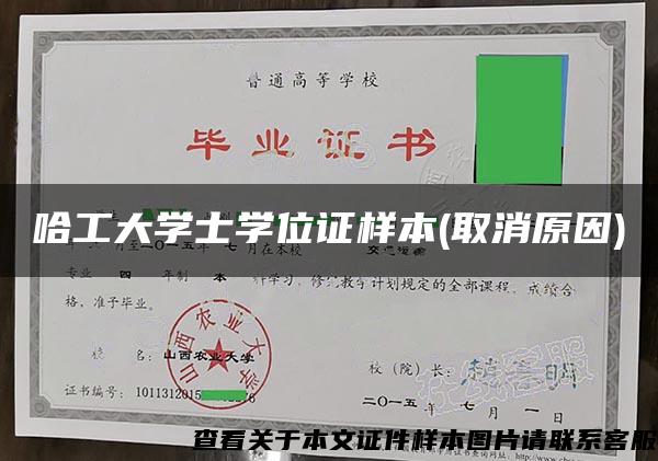 哈工大学士学位证样本(取消原因)