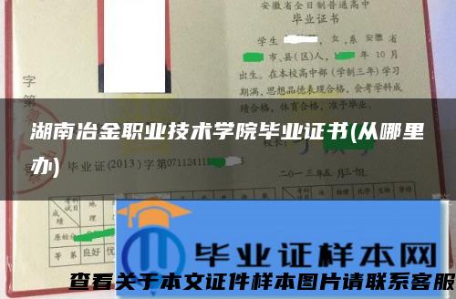 湖南冶金职业技术学院毕业证书(从哪里办)