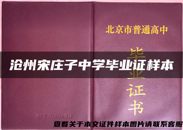 沧州宋庄子中学毕业证样本