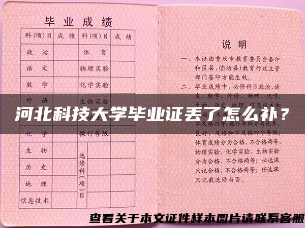 河北科技大学毕业证丢了怎么补？