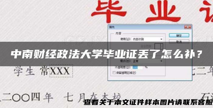 中南财经政法大学毕业证丢了怎么补？