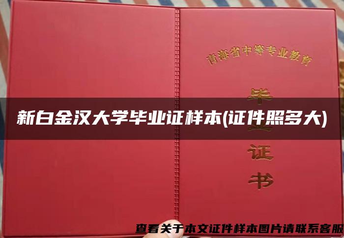 新白金汉大学毕业证样本(证件照多大)