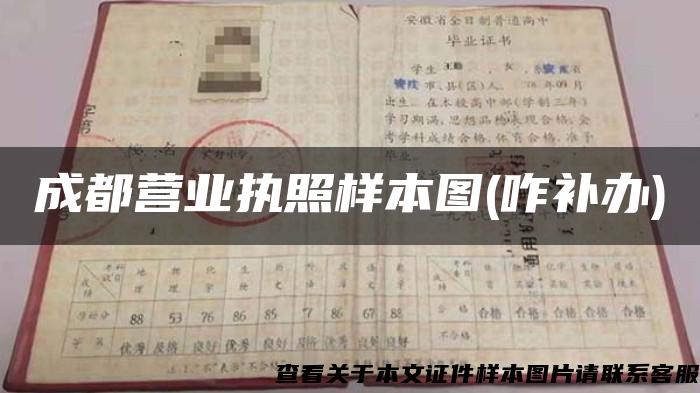 成都营业执照样本图(咋补办)