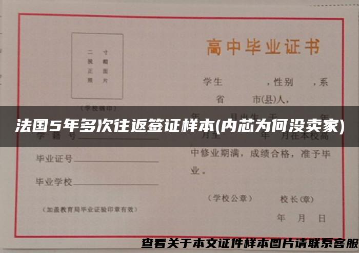 法国5年多次往返签证样本(内芯为何没卖家)