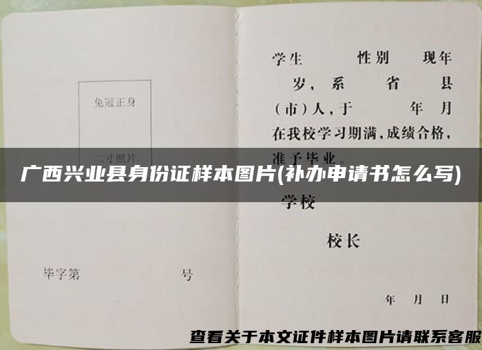 广西兴业县身份证样本图片(补办申请书怎么写)