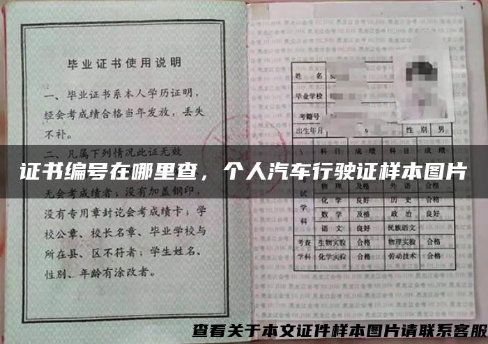 证书编号在哪里查，个人汽车行驶证样本图片