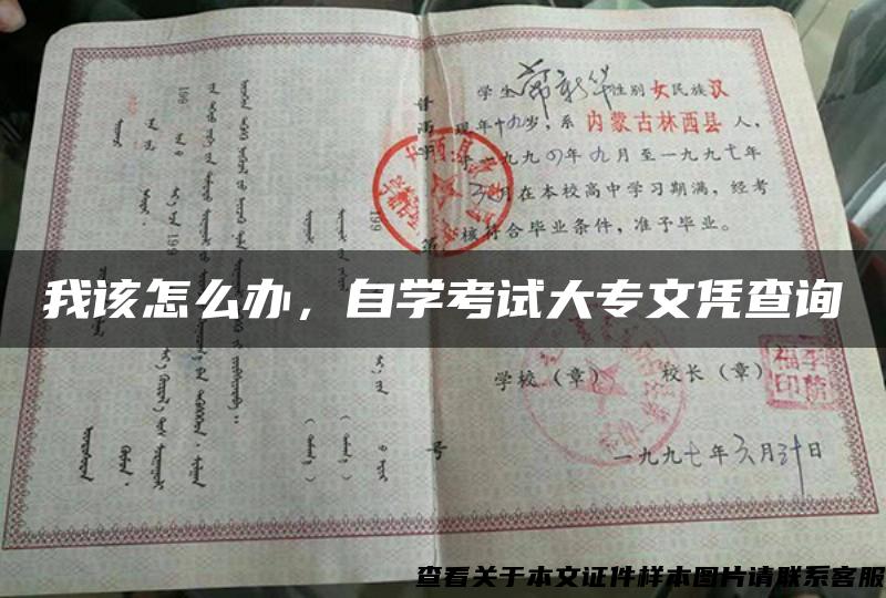 我该怎么办，自学考试大专文凭查询