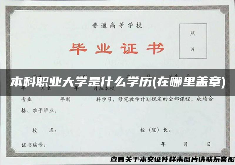 本科职业大学是什么学历(在哪里盖章)