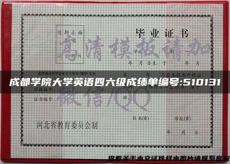 成都学院大学英语四六级成绩单编号:510131